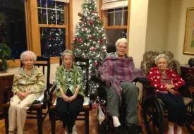 christmas_tree_4.png