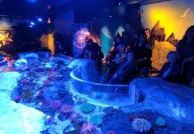 img_20170531_105217.jpg