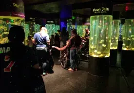 img_20170531_110055.jpg