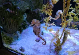 img_20170531_110426.jpg