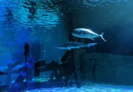 img_20170531_111147.jpg