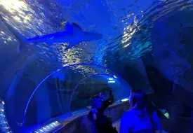 img_20170531_111153.jpg