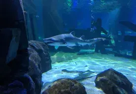 img_20170531_111652.jpg