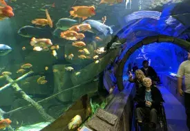 img_20170531_111723.jpg