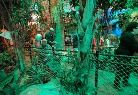 img_20170531_112211.jpg