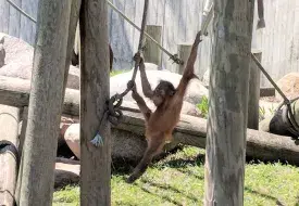 img_20180515_122432.jpg
