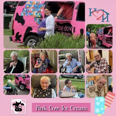 Pink Cow